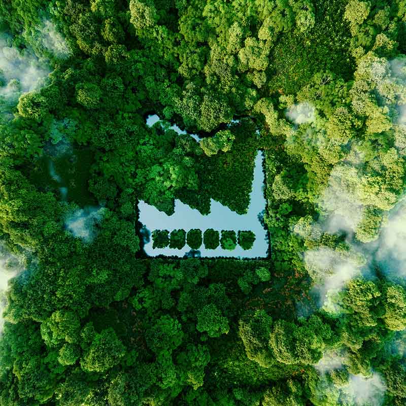 produzione-di-materie-prime-ecosostenibili produzione-di-materie-prime-ecosostenibili